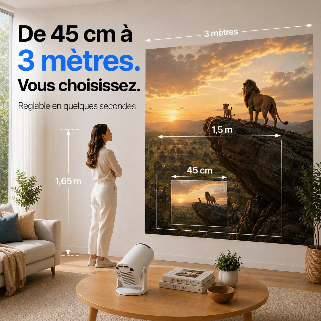Projecteur Ultra HD - Retroprojo